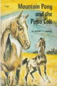 MOUNTAIN PONY AND THE PINTO COLT