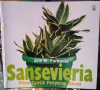 SANSIVIERA FLORA CANTIK PENYERAP RACUN