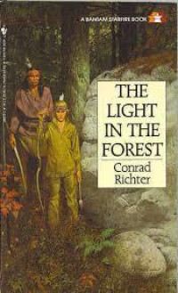 THE LIGHT IN THE FOREST